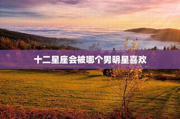十二星座会被哪个男明星喜欢