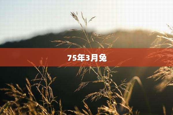 75年3月兔