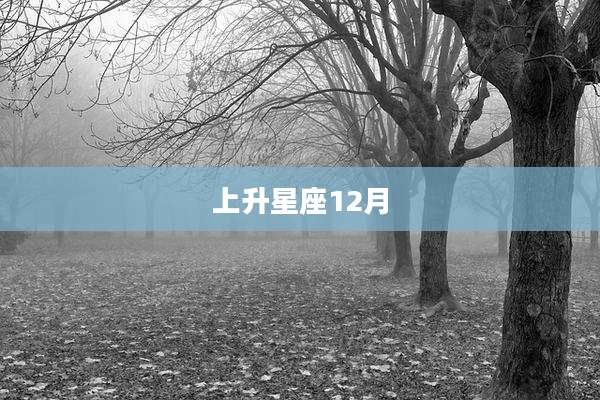 上升星座12月