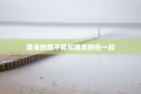 属兔的能不能和属龙的在一起