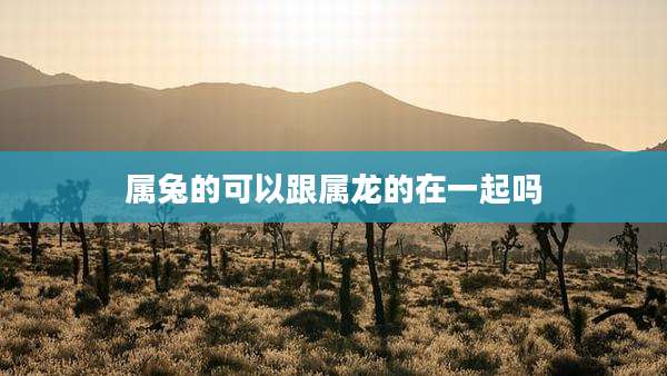 属兔的可以跟属龙的在一起吗