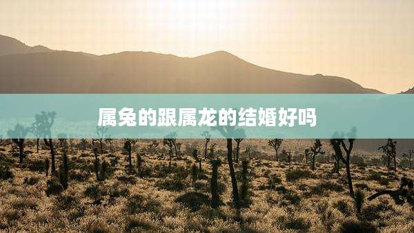 属兔的跟属龙的结婚好吗