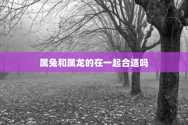 属兔和属龙的在一起合适吗