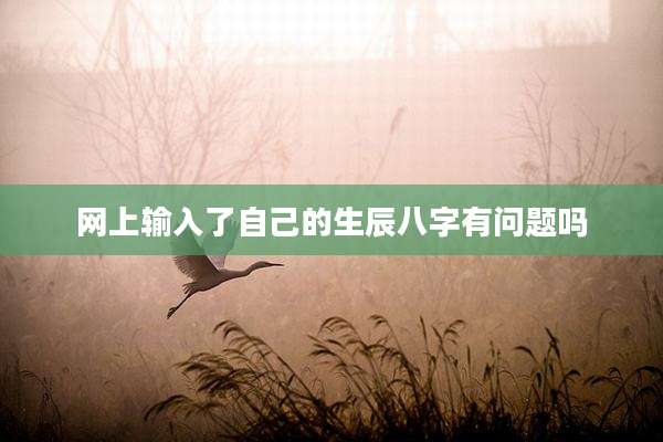 网上输入了自己的生辰八字有问题吗