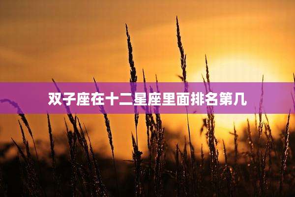 双子座在十二星座里面排名第几