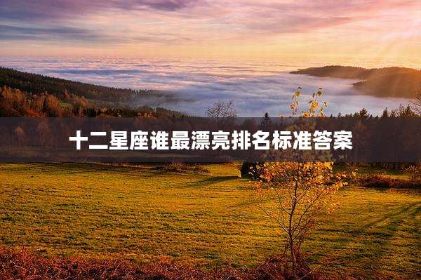十二星座谁最漂亮排名标准答案