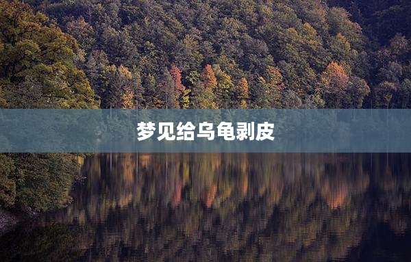 梦见给乌龟剥皮