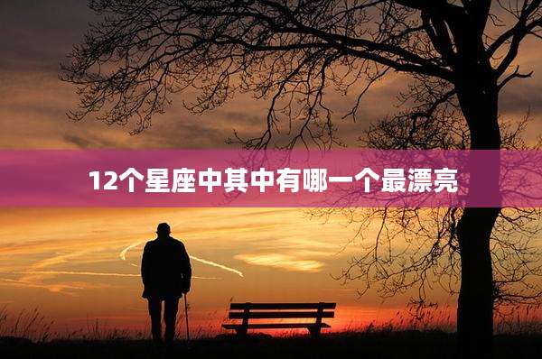 12个星座中其中有哪一个最漂亮
