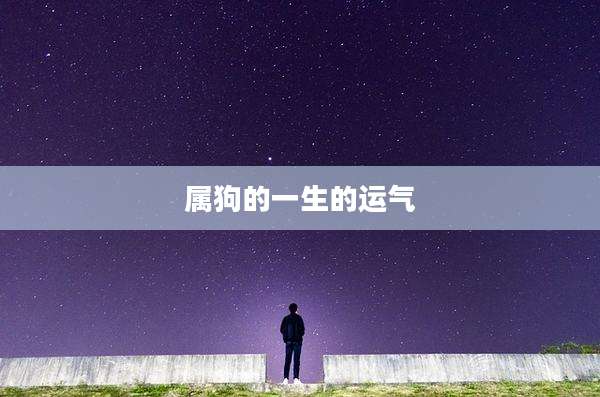 属狗的一生的运气