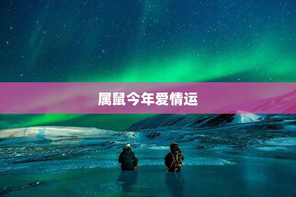 属鼠今年爱情运
