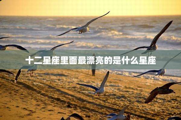 十二星座里面最漂亮的是什么星座
