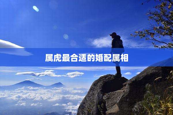 属虎最合适的婚配属相