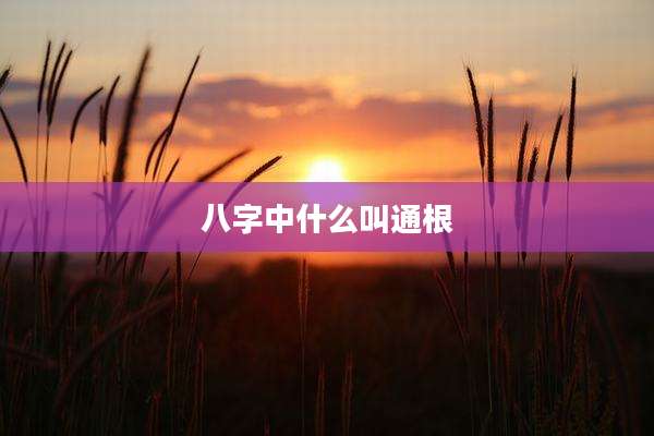 八字中什么叫通根