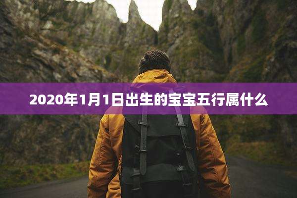 2020年1月1日出生的宝宝五行属什么