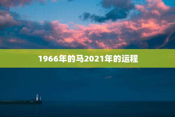 1966年的马2021年的运程