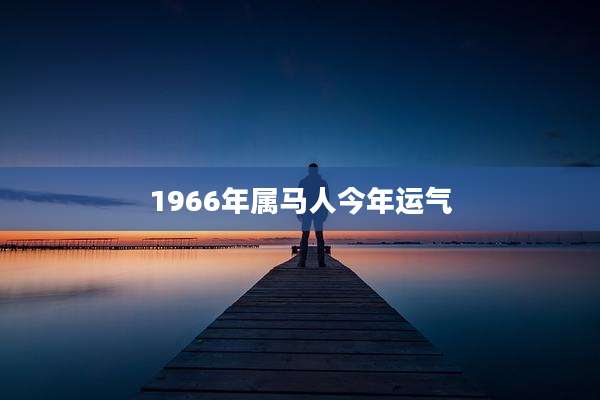 1966年属马人今年运气