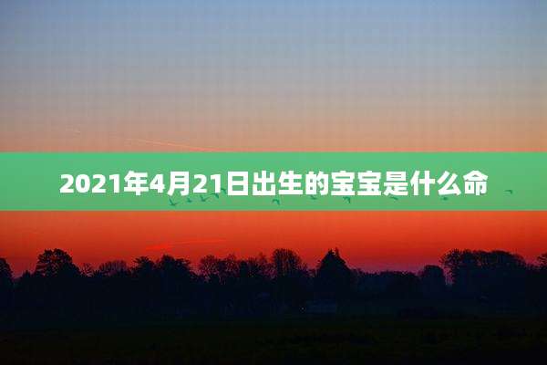 2021年4月21日出生的宝宝是什么命