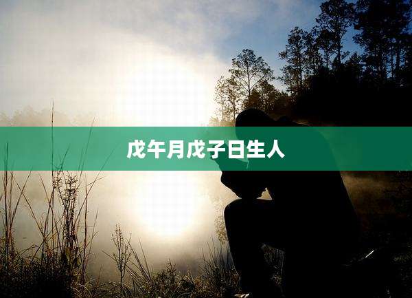 戊午月戊子日生人