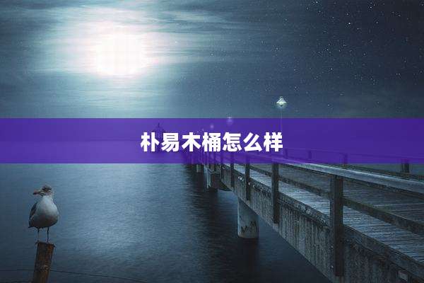 朴易木桶怎么样