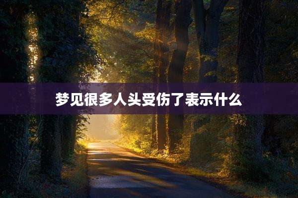 梦见很多人头受伤了表示什么