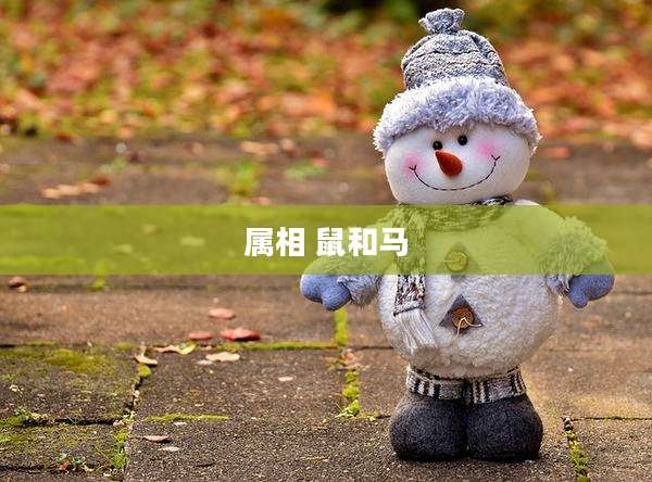 属相 鼠和马