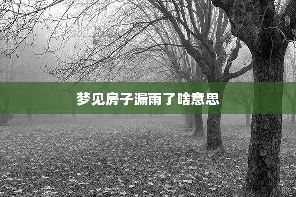 梦见房子漏雨了啥意思
