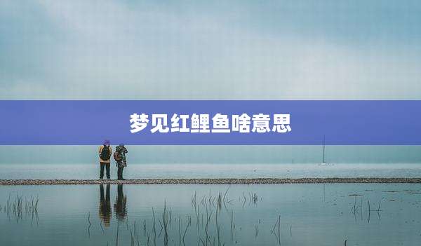 梦见红鲤鱼啥意思