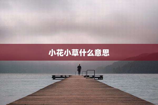 小花小草什么意思