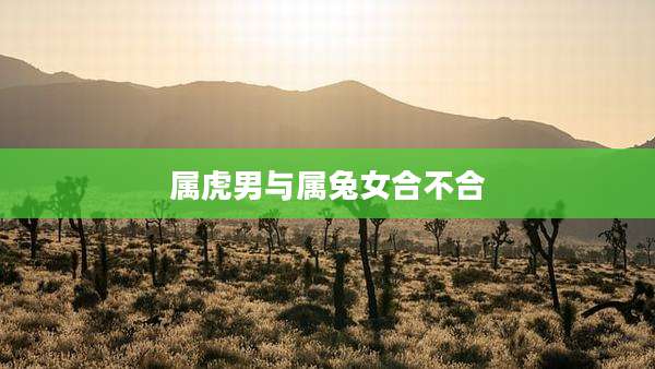 属虎男与属兔女合不合