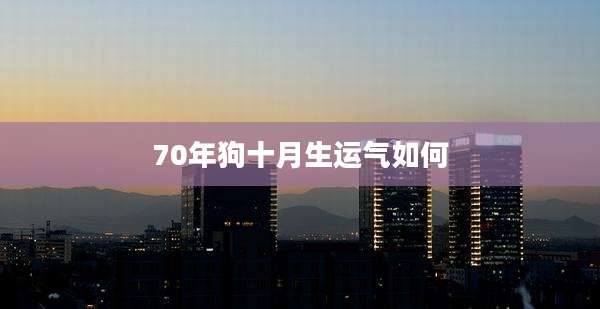 70年狗十月生运气如何