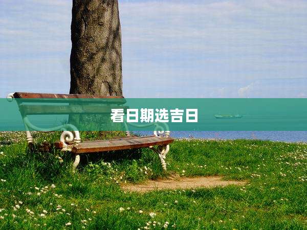 看日期选吉日