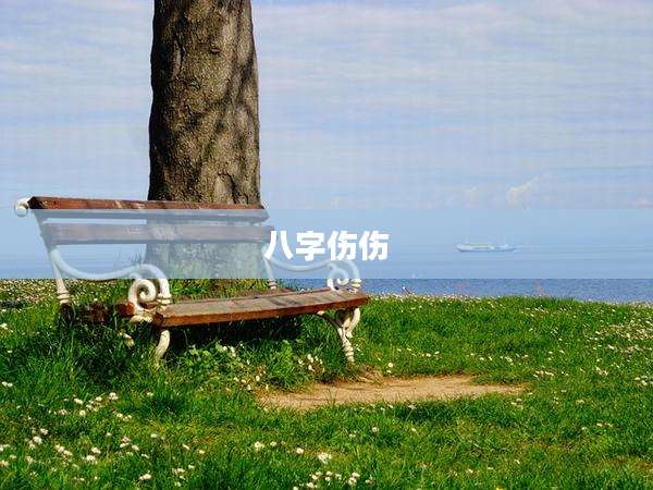 八字伤伤