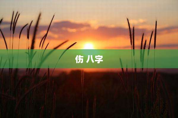 伤 八字