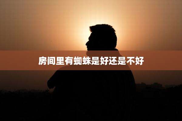房间里有蜘蛛是好还是不好