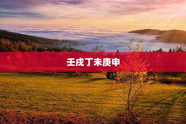 壬戌丁未庚申