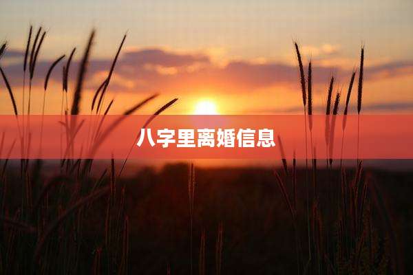 八字里离婚信息