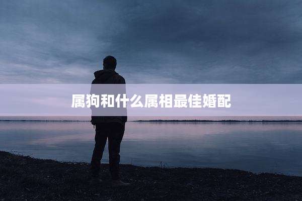 属狗和什么属相最佳婚配