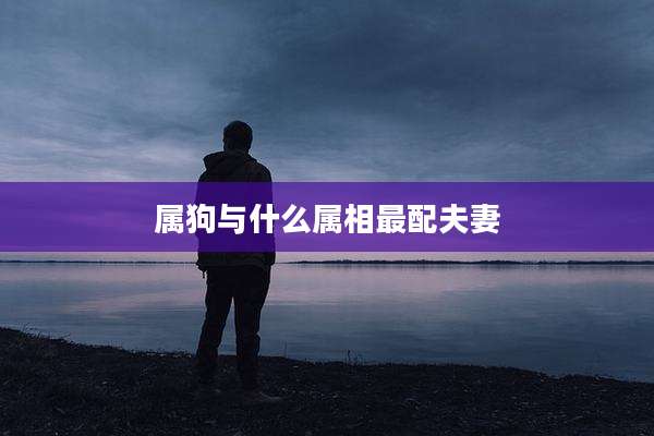 属狗与什么属相最配夫妻