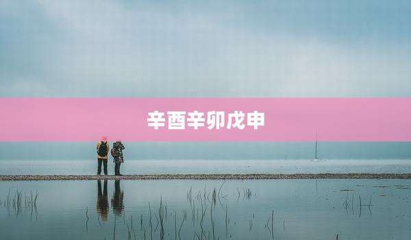 辛酉辛卯戊申