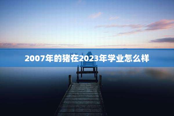 2007年的猪在2023年学业怎么样