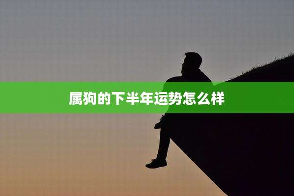 属狗的下半年运势怎么样