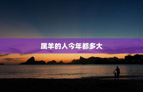 属羊的人今年都多大