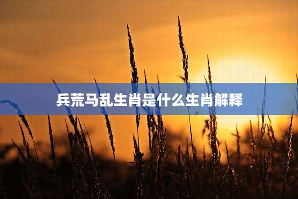 兵荒马乱生肖是什么生肖解释