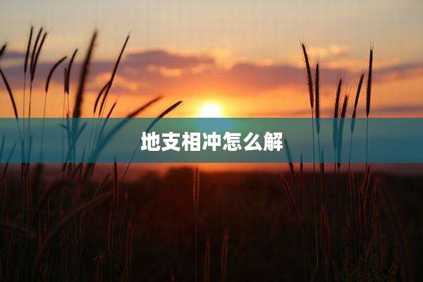 地支相冲怎么解