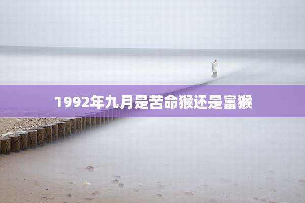 1992年九月是苦命猴还是富猴