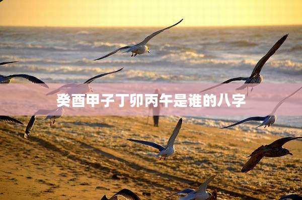 癸酉甲子丁卯丙午是谁的八字