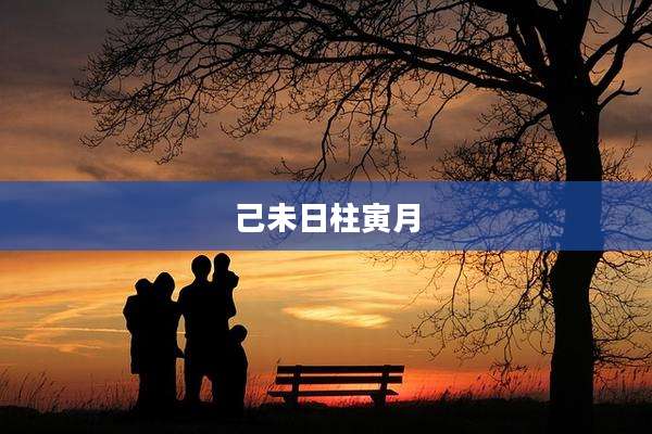 己未日柱寅月