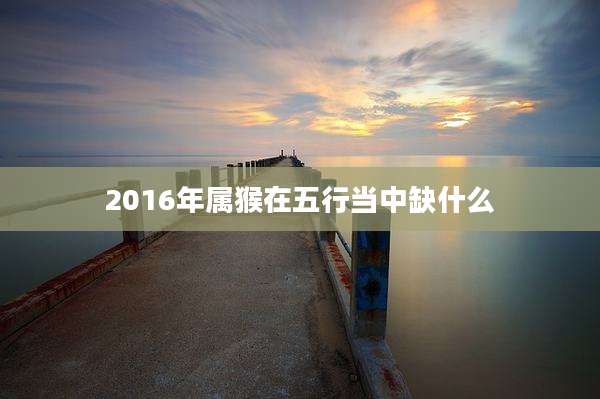 2016年属猴在五行当中缺什么