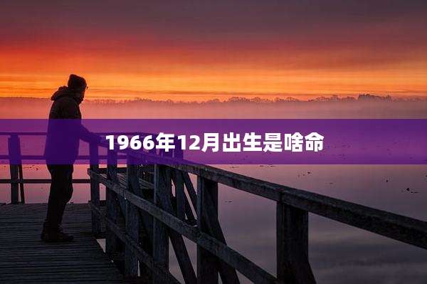 1966年12月出生是啥命