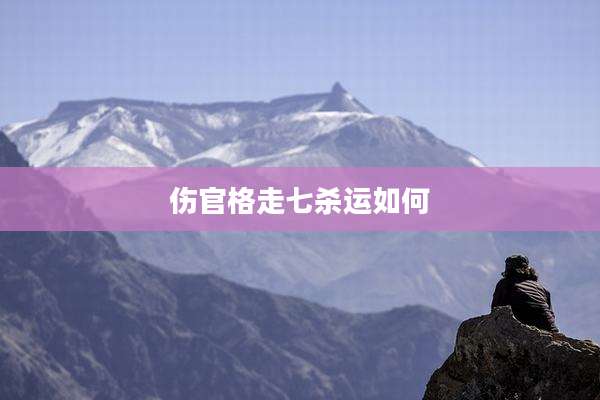 伤官格走七杀运如何
